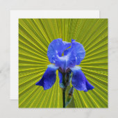 Iris-Blume Feiertagskarte (Vorne/Hinten)