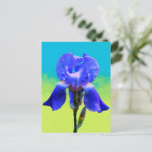 Iris-Blume Feiertagspostkarte (Stehend Vorderseite)