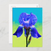 Iris-Blume Feiertagspostkarte (Vorne/Hinten)