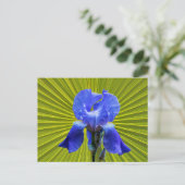 Iris-Blume Feiertagspostkarte (Stehend Vorderseite)