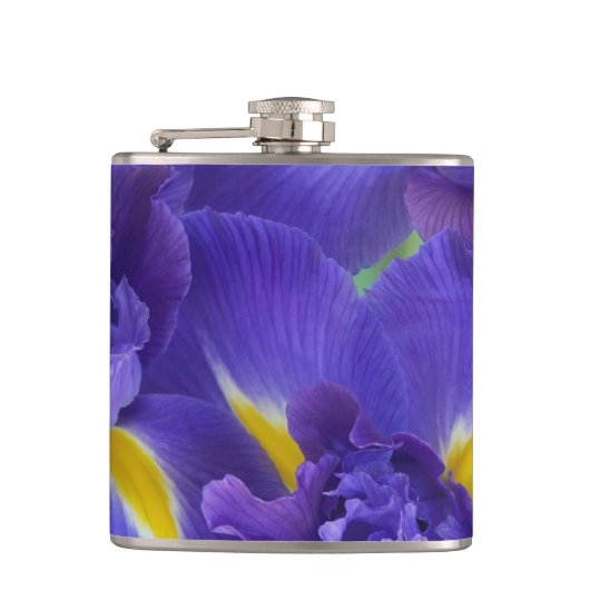 Iris-Blume Flachmann (Vorderseite)