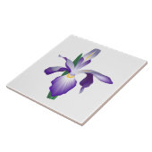 Iris-Blume Fliese (Seite)