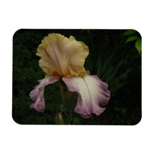 Iris Blume Floral Fotografie Magnet