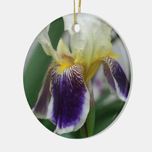 Iris Blume Foto Circle Ornament (Links)