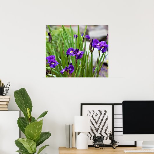 Iris Blume Foto Poster (Heimbüro)