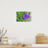 Iris Blume Foto Poster (Küche)