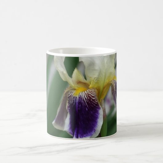 Iris Blume Foto Tasse (Mittel)