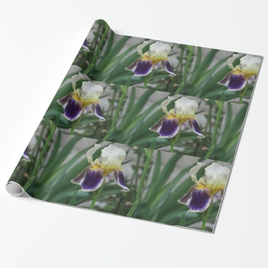 Iris Blume Foto Wrapping Paper Geschenkpapier (Ungerollt)