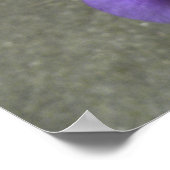 Iris Blume Fotograf Poster (Ecke)