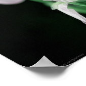 Iris Blume Fotografieren Kunst drucken Poster (Ecke)