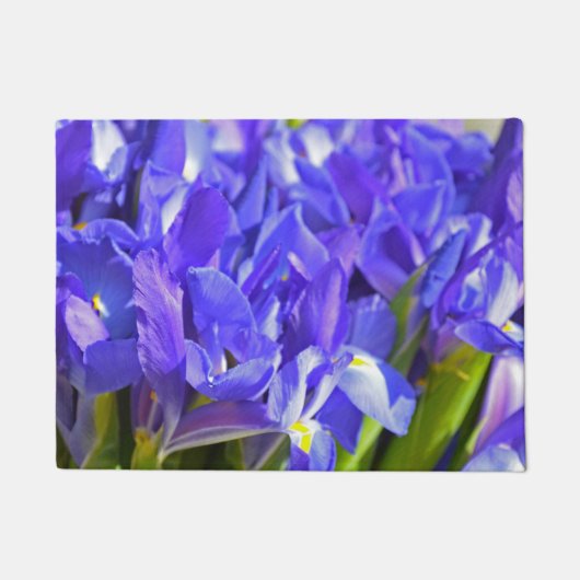 Iris-Blume Fußmatte (Vorderseite)