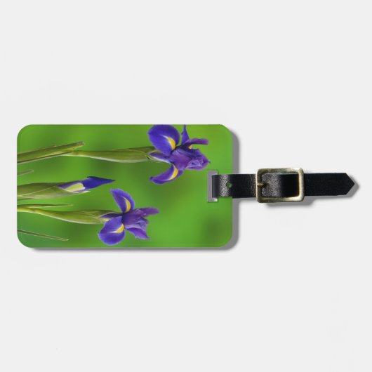 Iris-Blume Gepäckanhänger (Vorderseite horizontal)