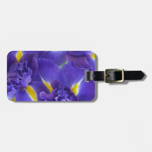 Iris-Blume Gepäckanhänger (Vorderseite horizontal)