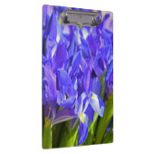 Iris-Blume Klemmbrett (Rechts)