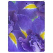 Iris-Blume Klemmbrett (Rückseite)