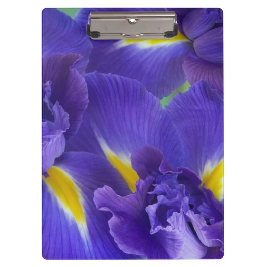 Iris-Blume Klemmbrett (Vorderseite)
