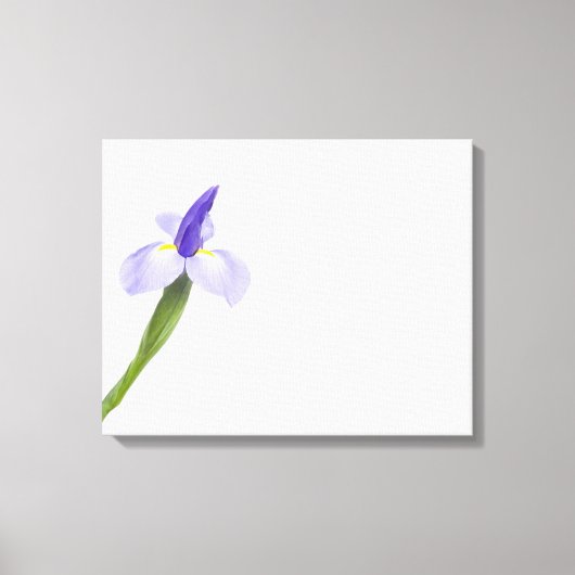 Iris-Blume. Leinwanddruck (Vorderseite)