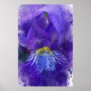 Iris Blume Lila Watercolor Poster