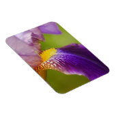 Iris Blume Magnet (Rechte Seite)
