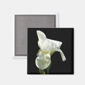 Iris Blume Magnet (Vorderseite/Rückseite)