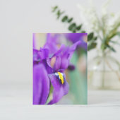 Iris Blume Magnet Feiertagspostkarte (Stehend Vorderseite)