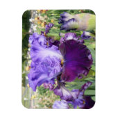 IRIS BLUME MAGNET Horizontal (Vertikal)