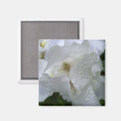 Iris-Blume-Magnet Magnet (Vorderseite/Rückseite)