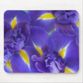 Iris-Blume Mousepad (Vorne)