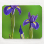 Iris-Blume Mousepad (Vorne)