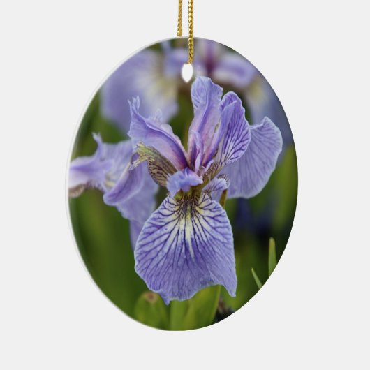 Iris Blume Ornament (Rechts)