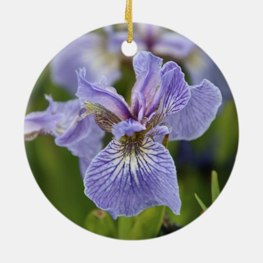 Iris Blume Ornament (Hinten)