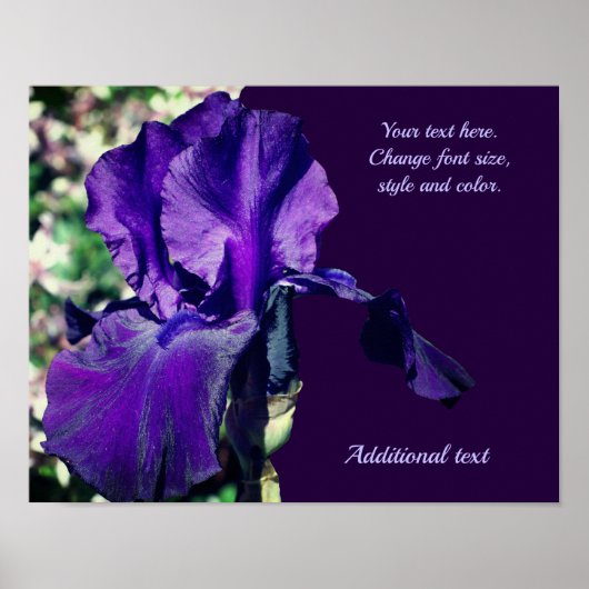 Iris-Blume Personalisierten Text hinzufügen Poster (Vorne)
