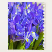 Iris-Blume Planer (Rückseite)