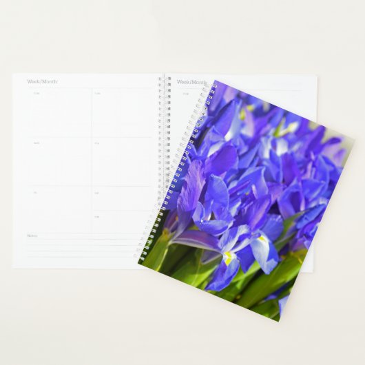 Iris-Blume Planer (Anzeige)
