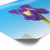 Iris-Blume Poster (Ecke)