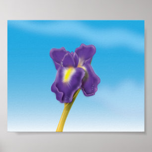 Iris-Blume Poster