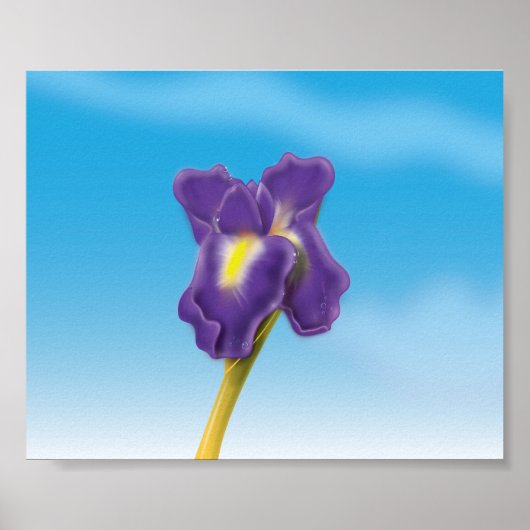 Iris-Blume Poster (Vorne)