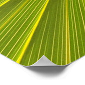 Iris-Blume Poster (Ecke)