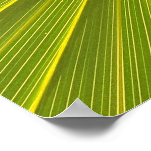 Iris-Blume Poster (Ecke)