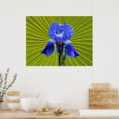 Iris-Blume Poster (Küche)