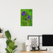 Iris-Blume Poster (Heimbüro)