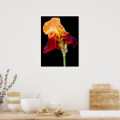 Iris-Blume Poster (Küche)