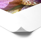 Iris Blume Poster (Ecke)