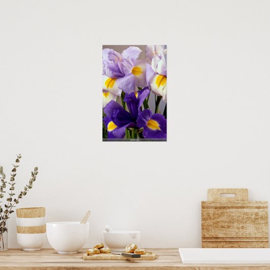 Iris-Blume Poster (Küche)