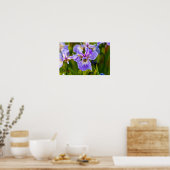 Iris Blume Poster (Küche)