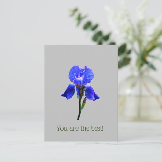 Iris-Blume Postkarte (Stehend Vorderseite)