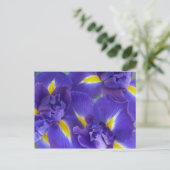 Iris-Blume Postkarte (Stehend Vorderseite)