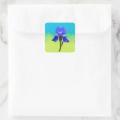 Iris-Blume Quadratischer Aufkleber (Tasche)