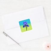 Iris-Blume Quadratischer Aufkleber (Umschlag)