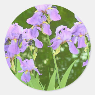 Iris-Blume Runder Aufkleber